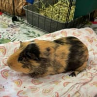 Photo of Peter & Pascal