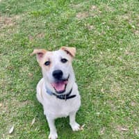 Photo of Audrey (9108)