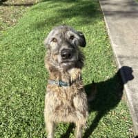 Photo of Coco & Rome 