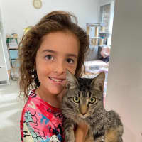 Photo of Buddy (Stripes) 