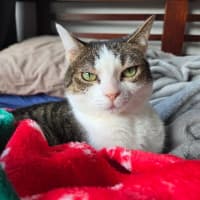 Photo of Molly / Milly