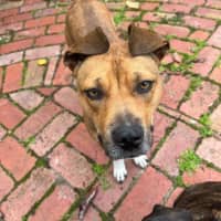 Photo of Chloe Haliwell