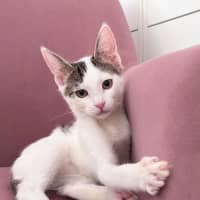 Photo of Sugar