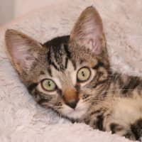 Photo of Monty