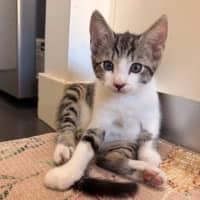 Photo of Stormy