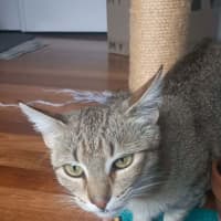 Photo of Esmerelda (Essie) 