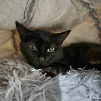 Photo of Maryanne