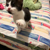 Photo of Adelina & Flora