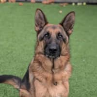 Photo of Zeus