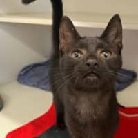 Photo of Truffles