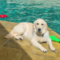 Photo of Lena