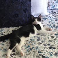 Photo of Roger