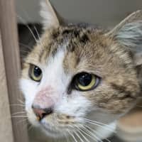 Photo of 🍏 Boomer 6440 🍏