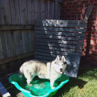 Photo of Sasha 