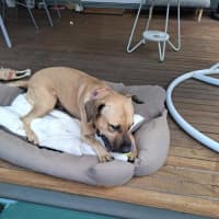 Photo of Turbo 