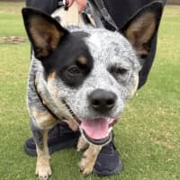 Photo of Hazel