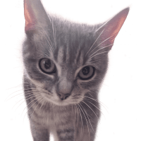 Photo of Sharon