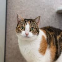 Photo of Mumma Coco