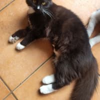 Photo of 💕 Phoebe Buffay 💕