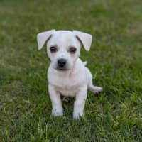 Photo of Cash