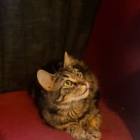 Photo of Sylvie