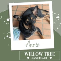 Photo of Annie