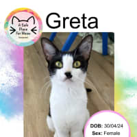 Photo of Greta