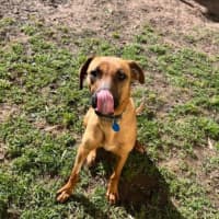 Photo of Finley 