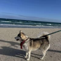 Photo of Karsha (Kay)