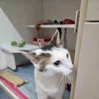 Photo of Lulu