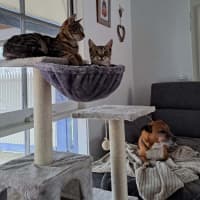 Photo of Ginge & Sprout