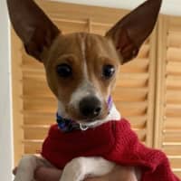 Photo of Pablo
