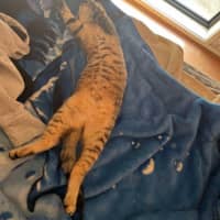 Photo of Nueve (Nui)