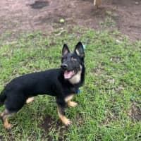 Photo of Coco
