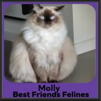 Photo of Molly