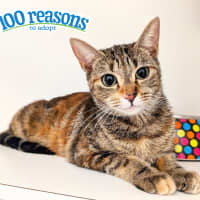 Photo of Mimmy White