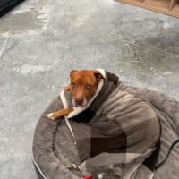 Photo of Kenai