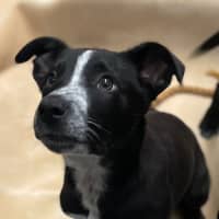 Photo of Plugga