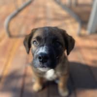 Photo of Dennis Reynolds 