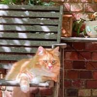 Photo of Griffin Nightingale