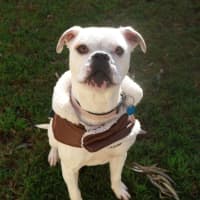 Photo of Lucy