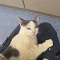 Photo of Banana Boat