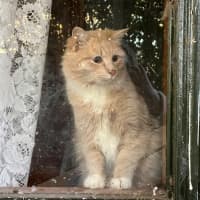 Photo of Ricardo Silvanus