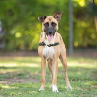 Photo of Wilma