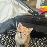 Photo of Elodie & Etienne