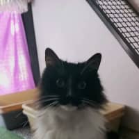 Photo of Coco