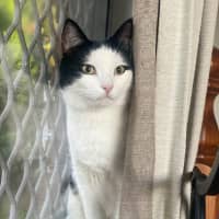 Photo of Atlas