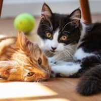 Photo of Gretel Moriarty