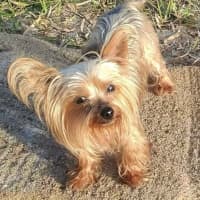 Photo of Tess