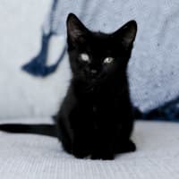 Photo of Wednesday